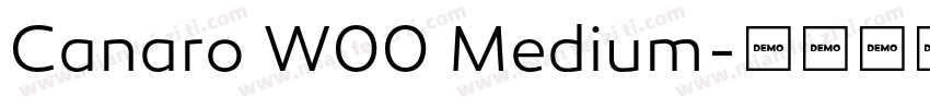 Canaro W00 Medium字体转换